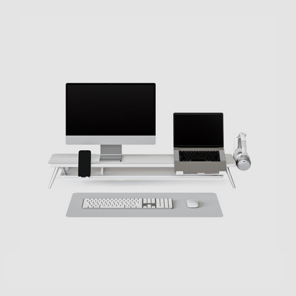 Bundle Rodin A311 Desk Setup