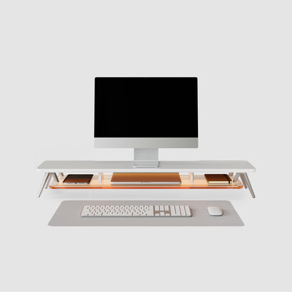Bundle Rodin A410 Desk Setup