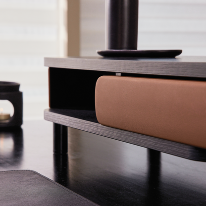 Bastion D510 Monitor Riser