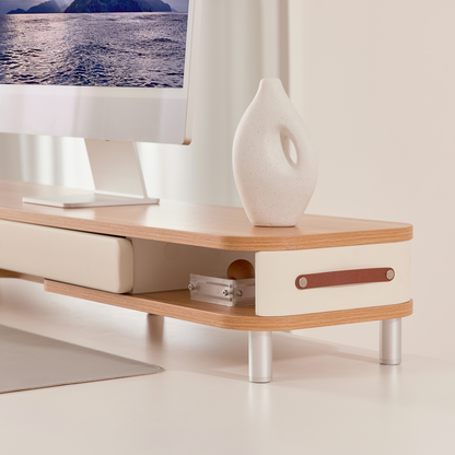 Bastion D510 Monitor Riser