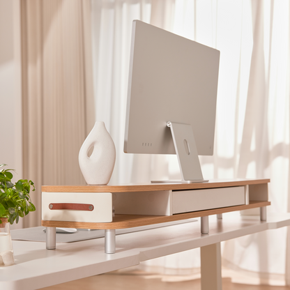 Bastion D510 Monitor Riser