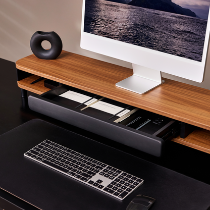 Bastion D510 Monitor Riser