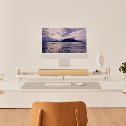 Bastion D510 Monitor Riser